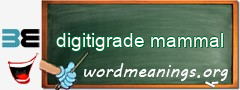 WordMeaning blackboard for digitigrade mammal